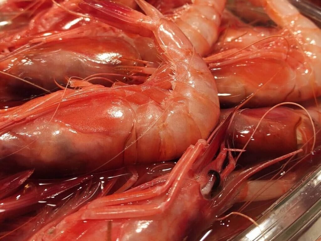 gambes-palamós-fresques