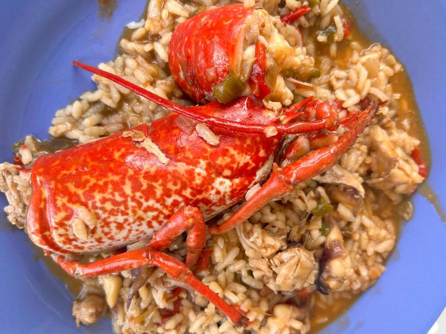 Plat d’arròs caldós amb llamàntol, cloïsses, calamar i sípia cuinat amb sofregit de tomàquet, ceba i pebrot