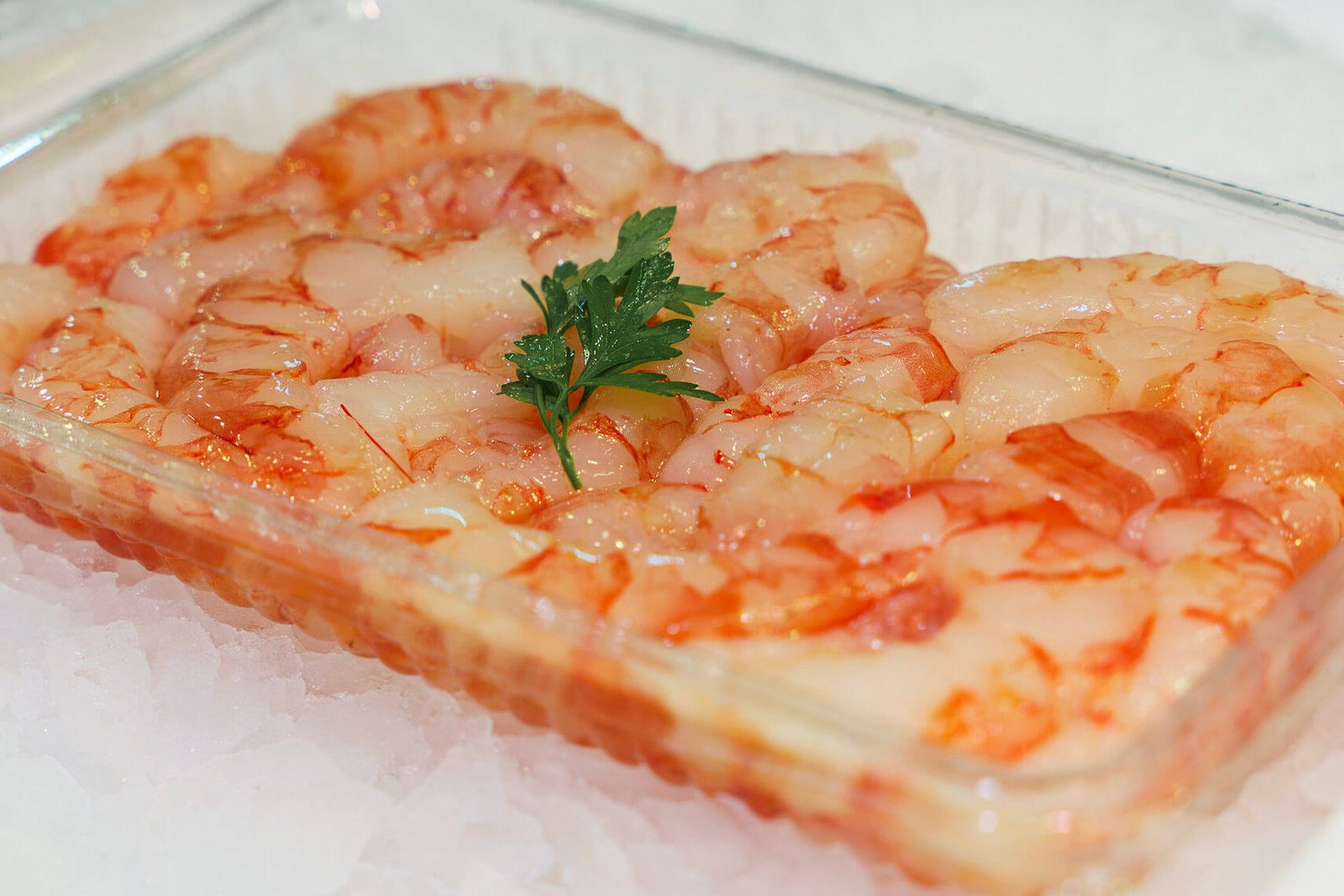 gamba-palamós-fresca