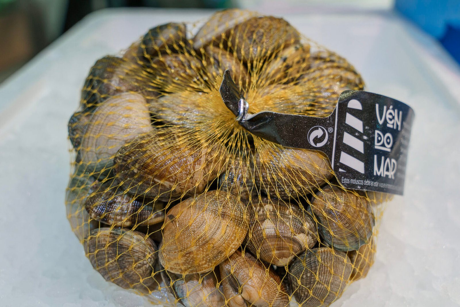 Almeja de carril – Peixateria Abel & Veri – Barcelona