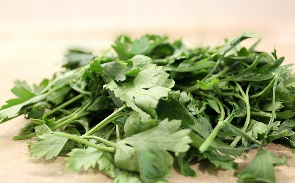 parsley, parsley curly, the family umbrella, seasoning, culinary seasoning, parsley, parsley, parsley, parsley, parsley